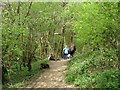 Walkers on a wooded section of the Cleveland Way in YO62 5EN