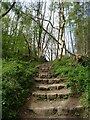 Steps up on the Cleveland Way in YO62 5EN