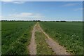 Footpath near RAF Wyton in PE27 3LJ