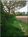 Footpath to Straight Road in CO11 2XA