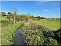 Warmingham, River Wheelock near Mill House in CW11 3QN