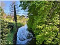River Wheelock, Warmingham in CW11 3QN