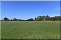Upper Layham: Field in Hadleigh South Ward