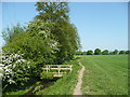 Footbridge north of Cholstrey in HR6 9AP