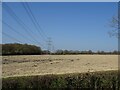 Field and power lines near Rushypit Wood in RH15 8RG