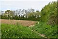 Elmsett: Ploughed field in IP7 6LW