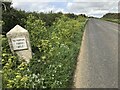 Old Milestone by the B3284, Bolingey in TR6 0JA