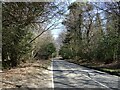 High Street (B2110) beside Cowdray Forest in RH17 6QA