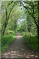 Footpath along eastern edge of Great Covert woodland in SO16 7LB