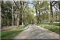 Driveway to Felbrigg Hall (NT) in NR11 8PL