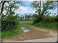Entry to a farm field, with tree and bush hedgerow in TR14 0JD