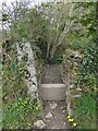 Stile to access Gilbert Monument on Beacon Hill, Bodmin in PL31 1AW