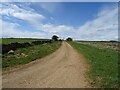 Back Lane (track) in YO7 2HW