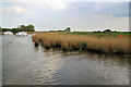 River Bure, Calthorpe Level Marsh in NR13 3AZ