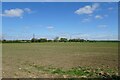 Field at the end of Birker Lane in YO41 5NL