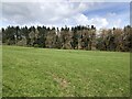 Field on Clyro Hill in HR3 6JX
