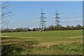 Pylons near Peartree Farm, Knodishall in IP17 1XA