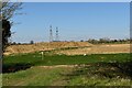 Earthworks near Grove Wood, Knodishall in IP17 1XA