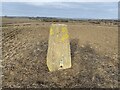 Southend Hill Trig Point Flush Bracket S1884 in HP23 4QR
