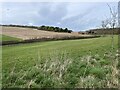 Pasture west of Rabbits Row in RG25 2HL