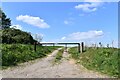 Castle Hedingham: Gated farm track in CO9 3DZ