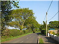 Everton Road, near Lymington in Everton (New Forest)