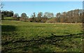Field beside Dark Firs in BA3 5BQ