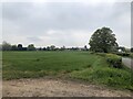 Field between Powick and Collett's Green in WR2 4RA