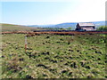 Carn gylchog ger Capel / Ring cairn near a chapel in SA8 4RT