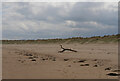 Driftwood on Coatham Sands, Redcar in Coatham Ward