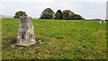 Ordnance Survey triangulation pillar and sheep in field at Lower Hill Farm in BB8 7EG