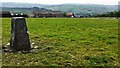 Triangulation pillar and sheep in field at Lower Hill Farm in BB8 7EG
