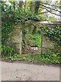 An Ivy-clad arched stone gateway in TR16 4JB