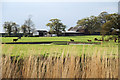 Barns and cattle, Herringby Hall in NR29 3EW