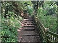 Steps up the canal embankment in NG9 3PH