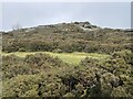 View towards Meldon Hill top in TQ13 8DT