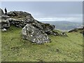 What you do on Dartmoor in TQ13 8DT
