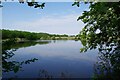 Harwich Angling Society's Lake in CO11 2XH