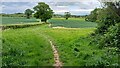 Path through fields near Bonhams in PO17 5BD