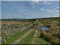 Track crossing Foldshaw Gill in LS29 0ET