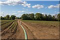 Hose on Arable Land near Park House Farm, Chelmondiston in IP9 1AZ