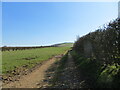 Field edge track giving access to farmland between Bothel and Torpenhow in CA7 1JF