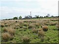 Rough pasture around Slackhead Farm in BB8 8PZ