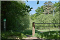 Bickenhall Wood entrance in TA3 5RT