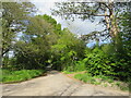 Minor lane in the New Forest, near Lymington in SO41 6BH