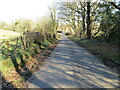 Hedge and tree-lined minor road approaching a bridge over Cockshot Beck in CA7 1EU