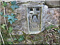 Ordnance Survey Flush Bracket G3124 in CA7 1EU