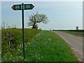 Country road towards Sewstern, Leicestershire in Buckminster