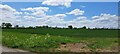 Fields north of North Green Farm in IP19 9AE