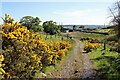 Track near Tomfyne Farm in G65 0RJ